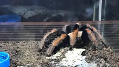 Zakon.kz, фото - Новости Zakon.kz от 21.01.2021 14:46