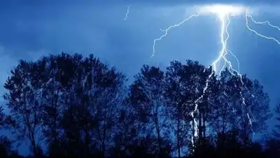 ewascience, фото - Новости Zakon.kz от 20.07.2018 08:40