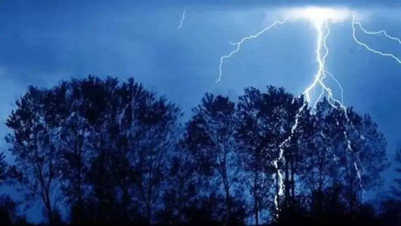 В Талдыкоргане женщина выжила после удара молнии