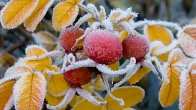 Zakon.kz, фото - Новости Zakon.kz от 22.09.2017 06:00