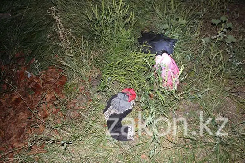 В Алматы мужчина, отсидевший за изнасилование, снова напал на женщину (фото) В Алматы мужчина, отсидевший за изнасилование, снова напал на женщину (фото), фото - Новости Zakon.kz от 18.09.2013 16:47