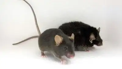 Zakon.kz, фото - Новости Zakon.kz от 30.12.2016 16:42