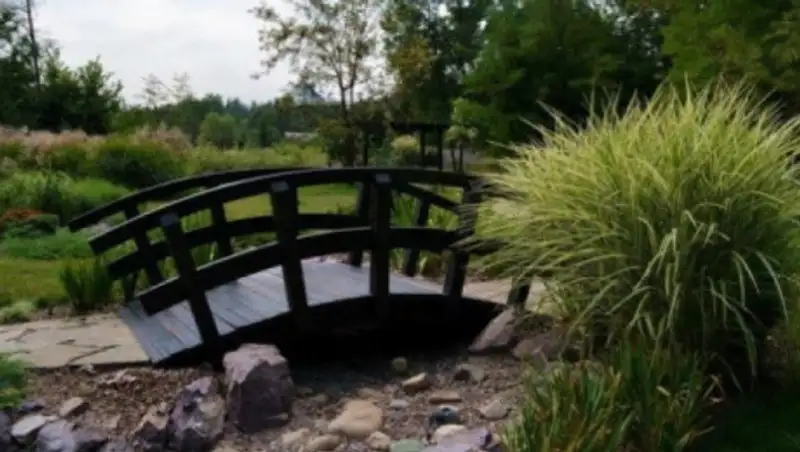 Ботанический сад Алматы передали на баланс Минэкологии