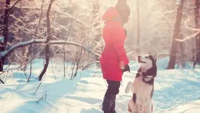 Фото: alau.kz, фото - Новости Zakon.kz от 04.01.2018 09:33