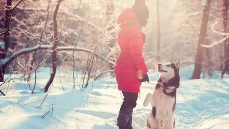 4 января в Казахстане сохраняется погода без осадков