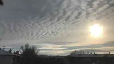 Скриншот видео, фото - Новости Zakon.kz от 22.12.2020 11:47