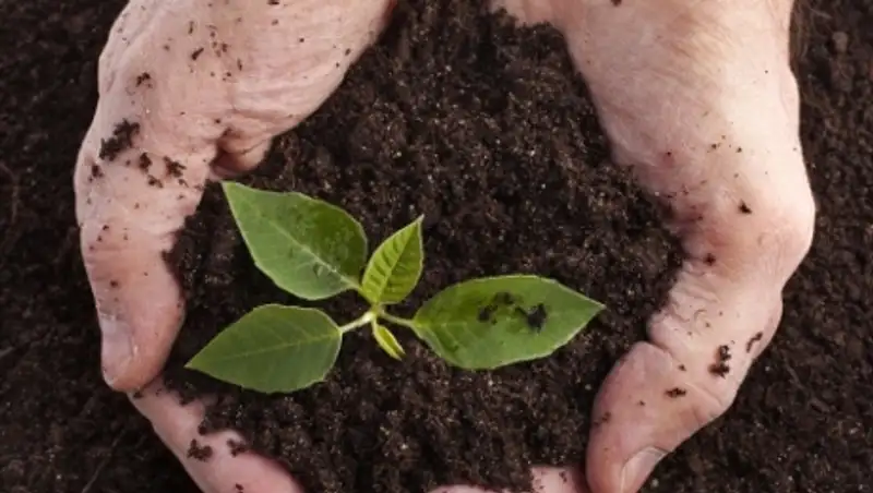 Власти Омской области предложили Казахстану новую схему границ