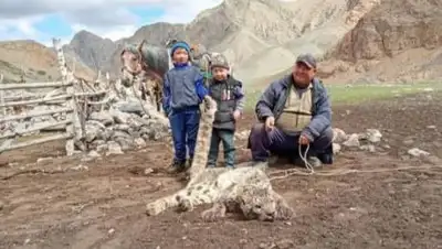 Facebook, фото - Новости Zakon.kz от 19.12.2020 14:45