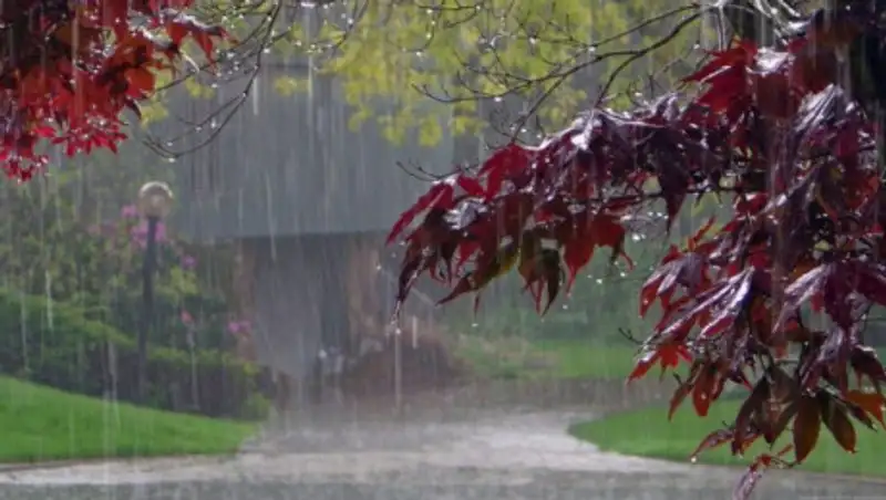 Дожди с грозами, град и жаркая погода ожидаются в РК 17 июля