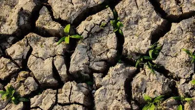 "Все высохло": кызылординские фермеры бьют тревогу из-за дефицита воды, фото - Новости Zakon.kz от 17.07.2023 13:05