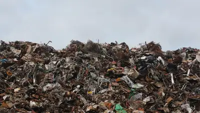 Pixabay, фото - Новости Zakon.kz от 18.10.2019 08:46