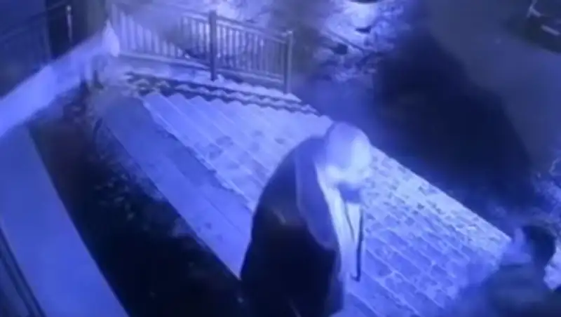 Стали известны подробности избиения экс-главы чеченской полиции в Нур-Султане