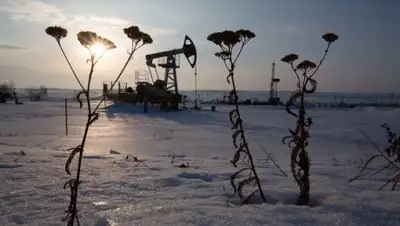 Zakon.kz, фото - Новости Zakon.kz от 09.03.2016 21:20