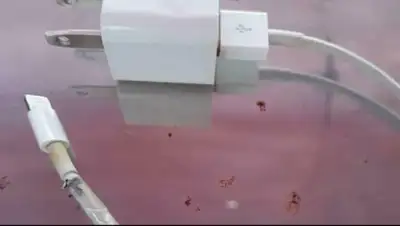 Zakon.kz, фото - Новости Zakon.kz от 20.11.2017 07:08