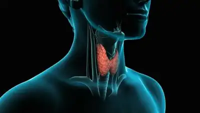 из открытых источников, фото - Новости Zakon.kz от 15.09.2020 14:03