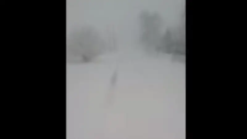 Ряд населенных пунктов Костанайской области из-за бурана остались без света