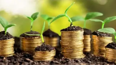 centr.kr.ua, фото - Новости Zakon.kz от 30.07.2018 12:34