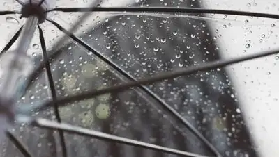 pixabay.com, фото - Новости Zakon.kz от 19.10.2021 18:04