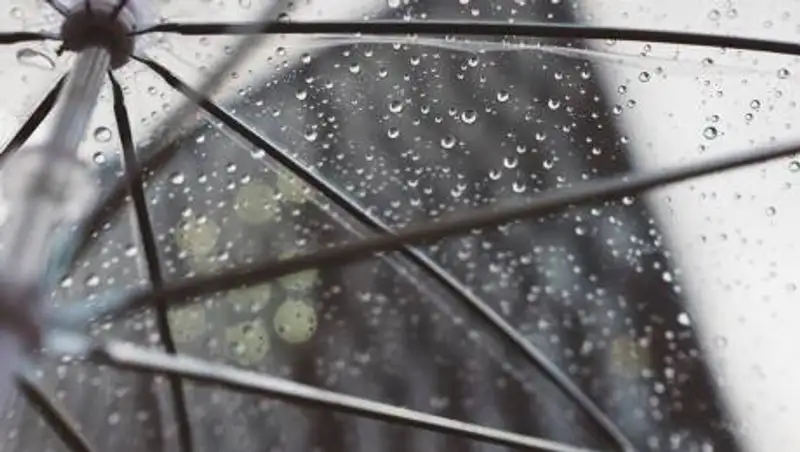 Дождь, сильный ветер и пыльная буря ожидаются в Казахстане