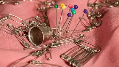 иголка, фото - Новости Zakon.kz от 16.02.2022 09:56