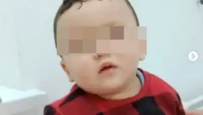 poiskoviki_pavlodara_vita, фото - Новости Zakon.kz от 27.11.2020 09:37