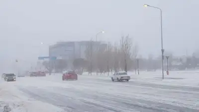 Zakon.kz, фото - Новости Zakon.kz от 12.01.2018 09:21