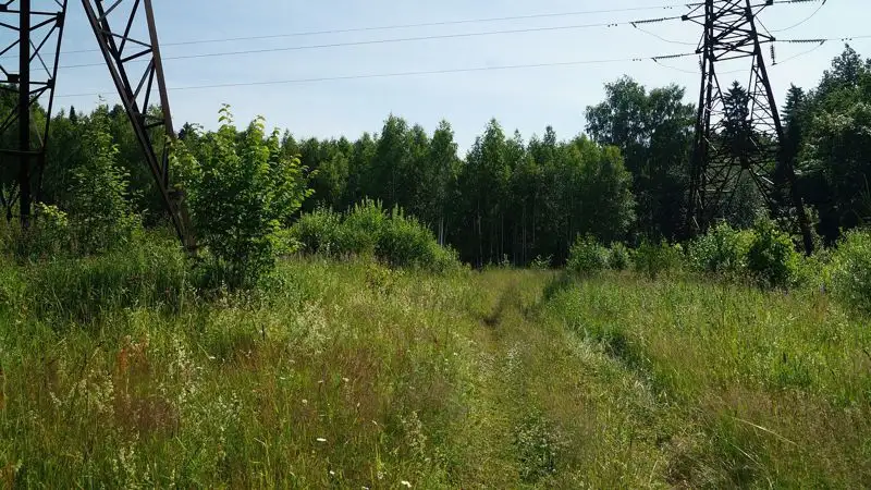 В Улытауской области ограничат посещение леса из-за пожарной опасности