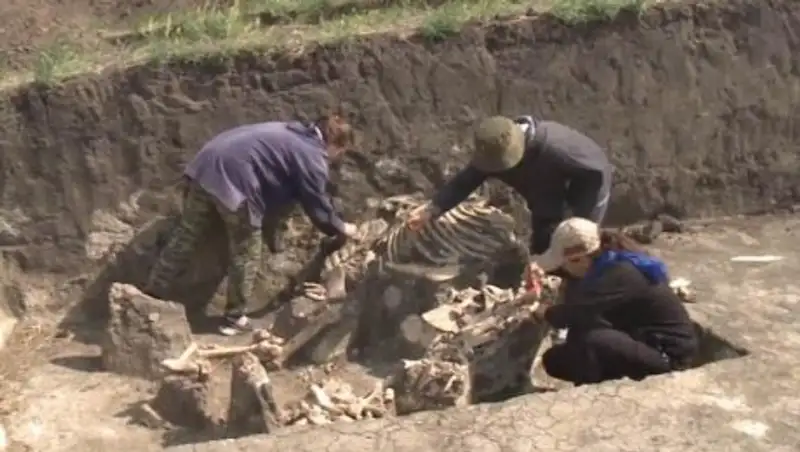 Недалеко от Актобе археологи обнаружили редкую находку