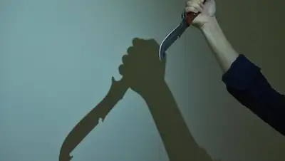 Фото © Sputnik / Табылды Кадырбеков, фото - Новости Zakon.kz от 23.01.2018 22:25