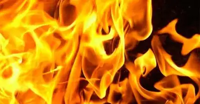 Zakon.kz, фото - Новости Zakon.kz от 14.02.2014 18:55