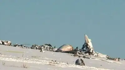 Zakon.kz, фото - Новости Zakon.kz от 14.03.2016 21:12