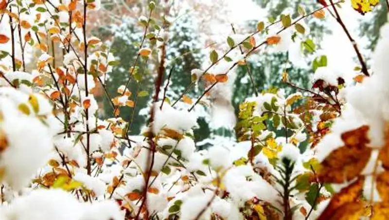 Какая погода ожидает казахстанцев в ноябре