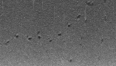 © National Oceanography Centre, фото - Новости Zakon.kz от 09.09.2018 07:27