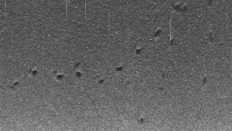 На дне Тихого океана нашли загадочные следы