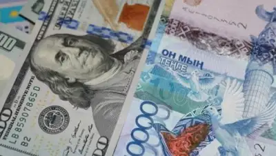 Zakon.kz, фото - Новости Zakon.kz от 05.09.2017 11:34