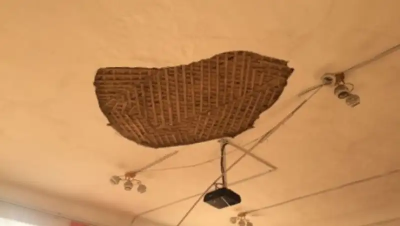 Врачи рассказали о состоянии пострадавших в ВКО школьников