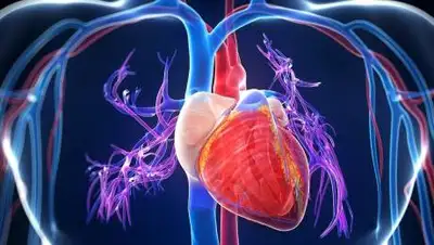 indicator, фото - Новости Zakon.kz от 07.06.2021 07:02