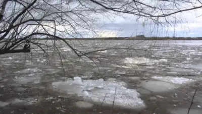 24.kz, фото - Новости Zakon.kz от 29.03.2019 06:21