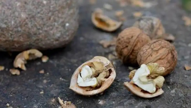 Какие продукты улучшают работу мозга