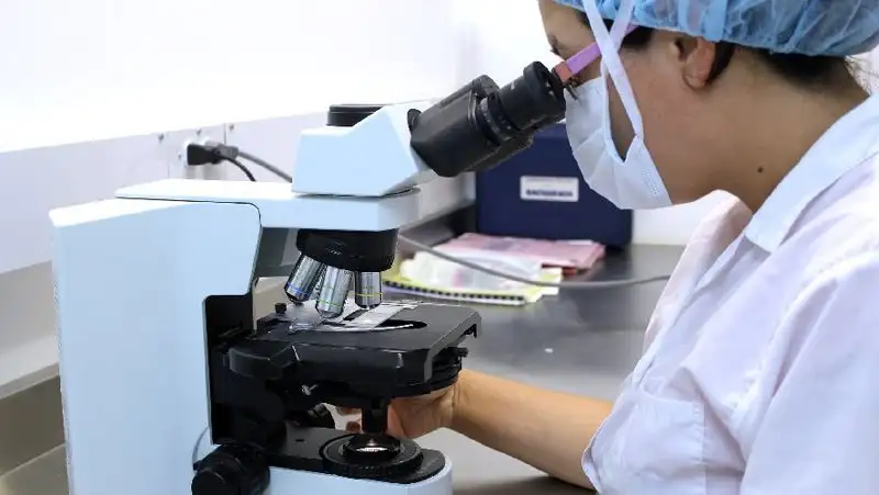 Вирусолог рассказал, будет ли  эпидемия оспы обезьян