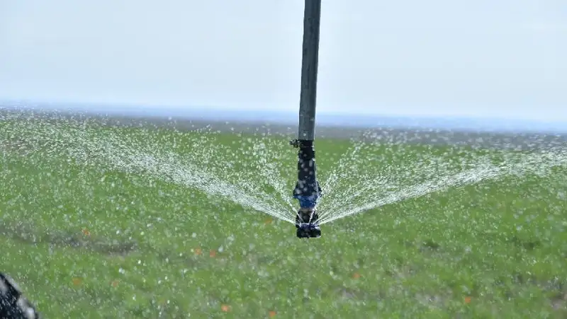 сельское хозяйство, Туркестанская область, фото - Новости Zakon.kz от 15.06.2022 17:47