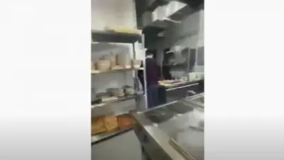 кадр из видео, фото - Новости Zakon.kz от 28.01.2021 10:49