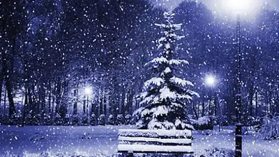 izans, фото - Новости Zakon.kz от 17.02.2020 06:04