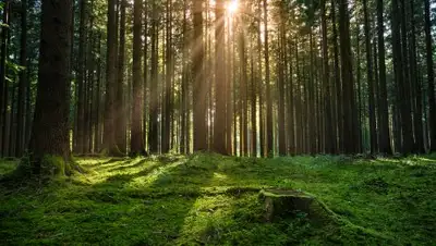 Zakon.kz, фото - Новости Zakon.kz от 08.07.2016 18:50