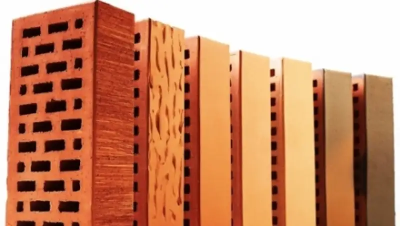 Кирпичный завод построили на территории колонии-поселения в Южном Казахстане 