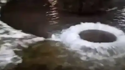 кадр из видео, фото - Новости Zakon.kz от 03.12.2020 11:18