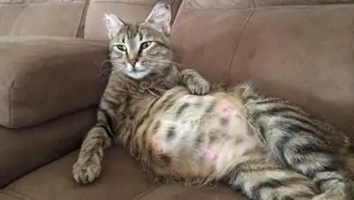 Zakon.kz, фото - Новости Zakon.kz от 17.07.2015 23:01