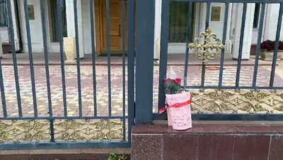 цветы, фото - Новости Zakon.kz от 29.09.2022 10:01