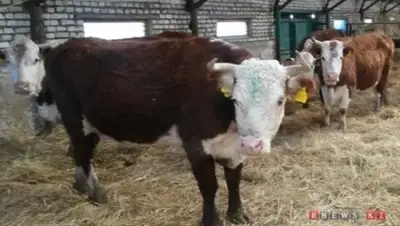 Zakon.kz, фото - Новости Zakon.kz от 22.03.2015 01:30