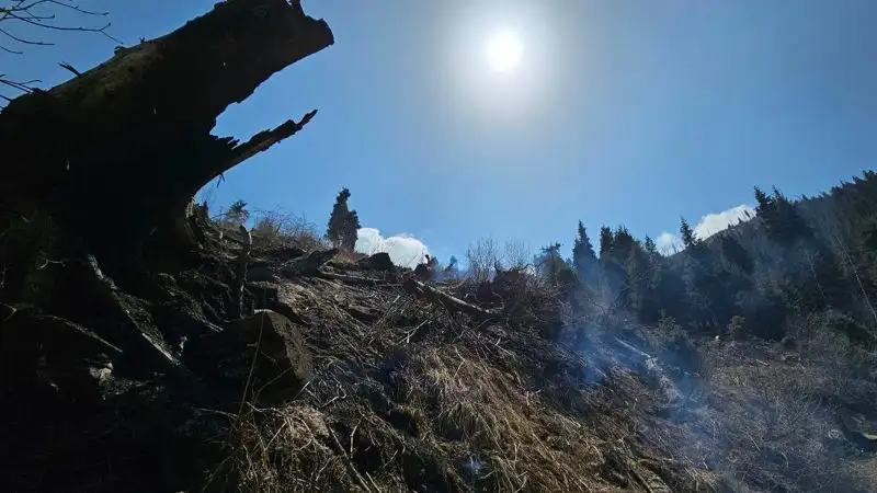 Медеу, горы, пожар, фото - Новости Zakon.kz от 10.05.2023 11:59